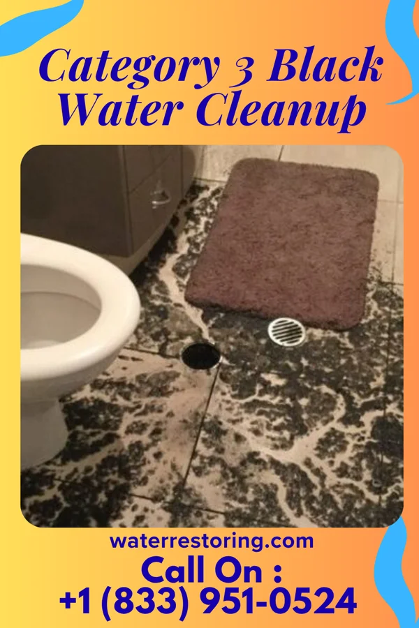 Category 3 Black Water Cleanup in Ecorse, MI
