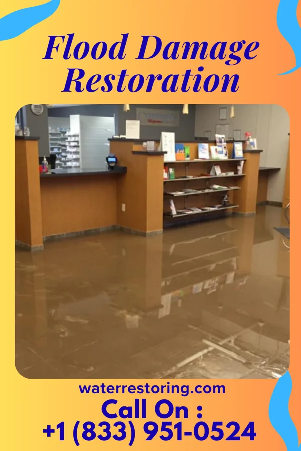 Flood Damage Restoration in Ecorse, MI